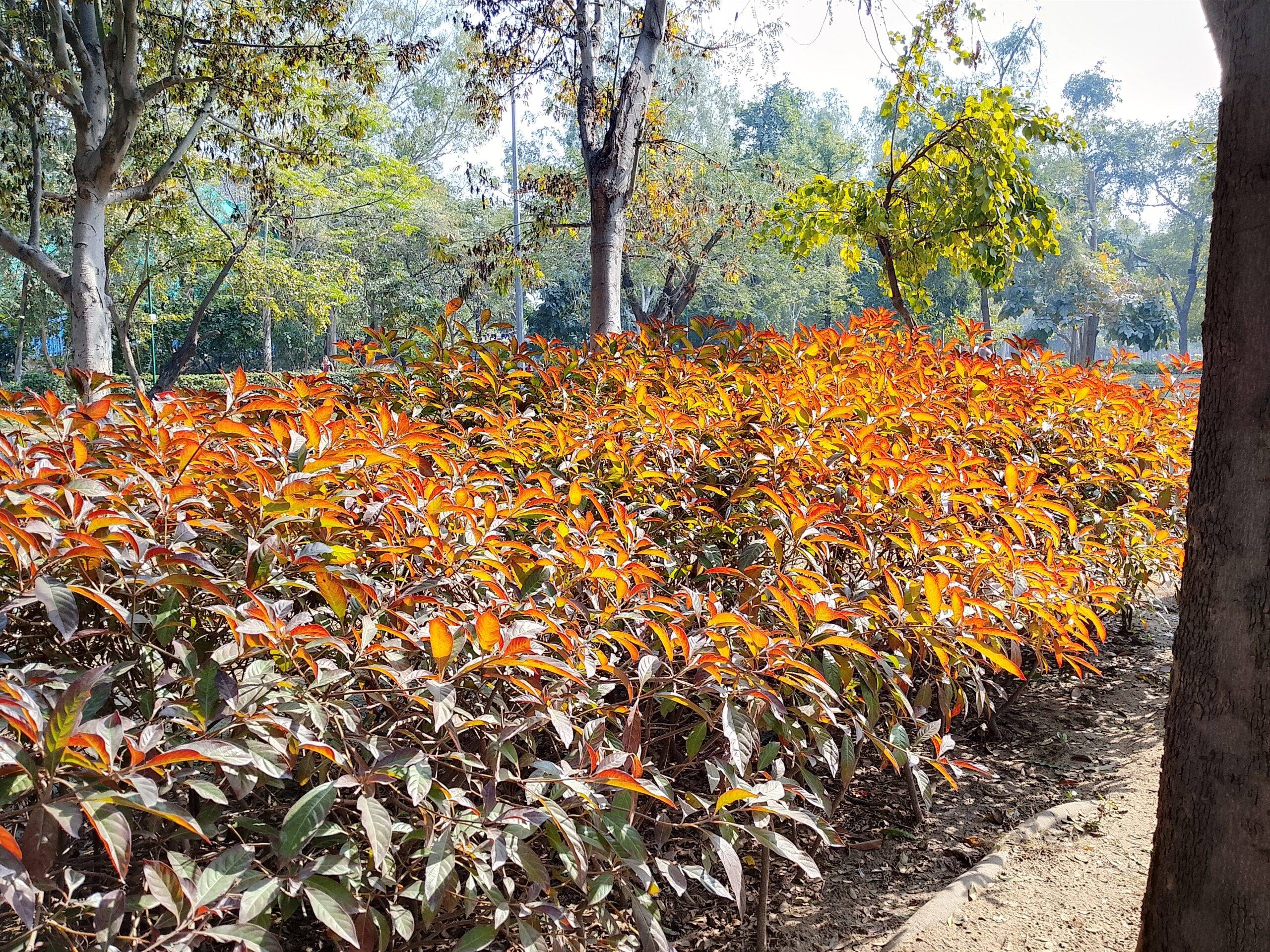 Tecno Spark Go 3 camera sample