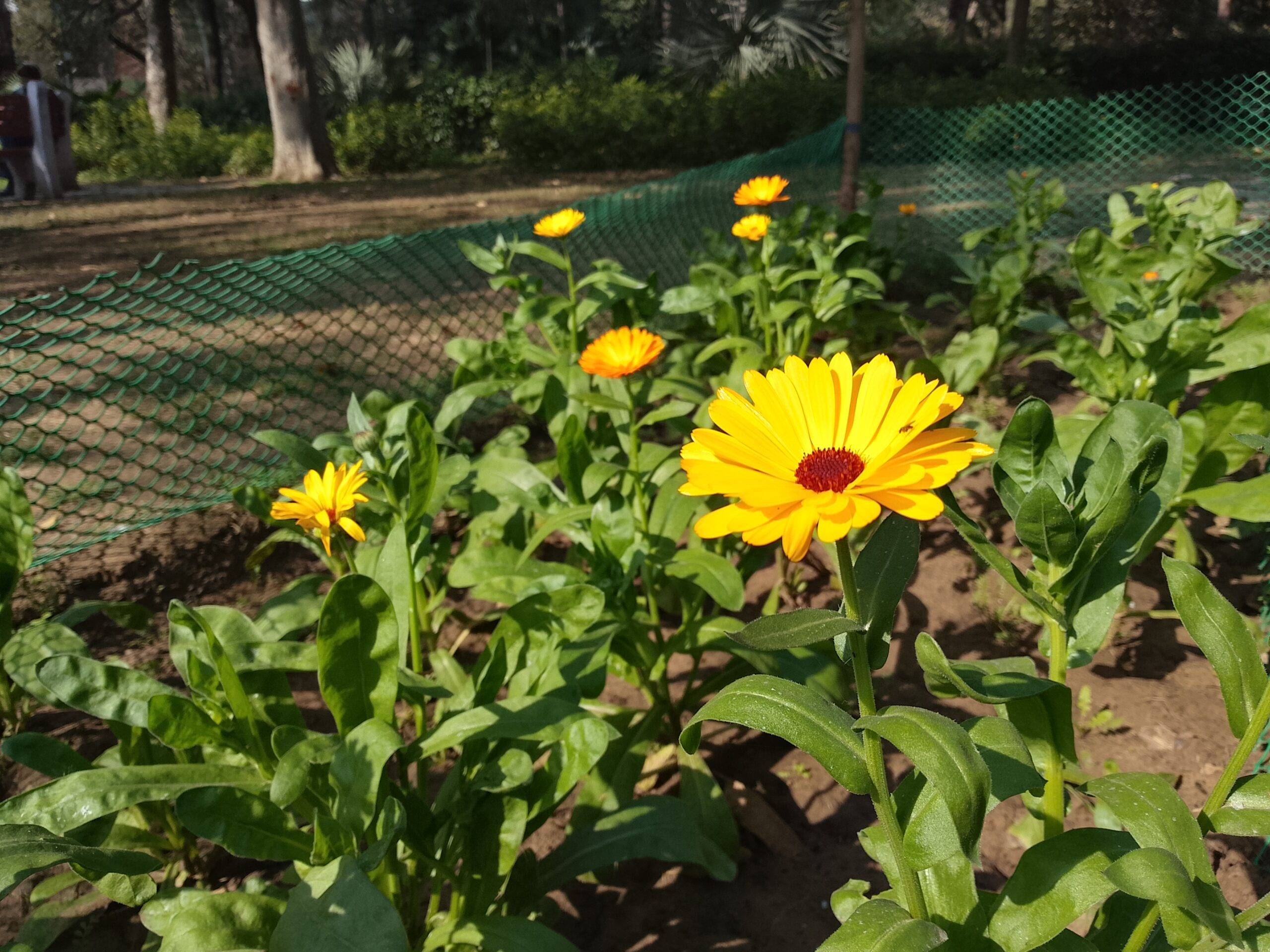 Tecno Spark Go 3 camera sample