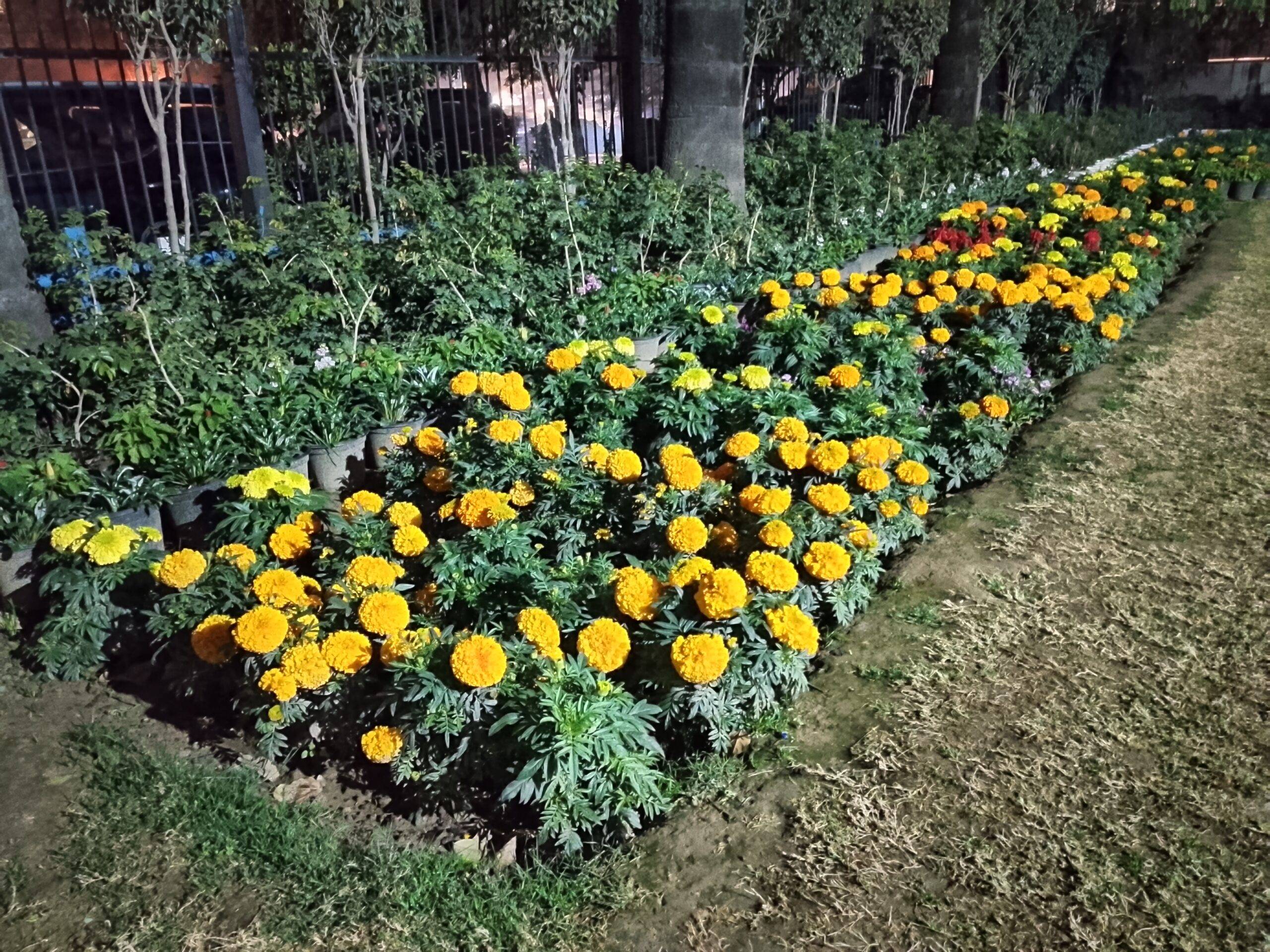 Tecno Spark Go 3 night camera sample (4)