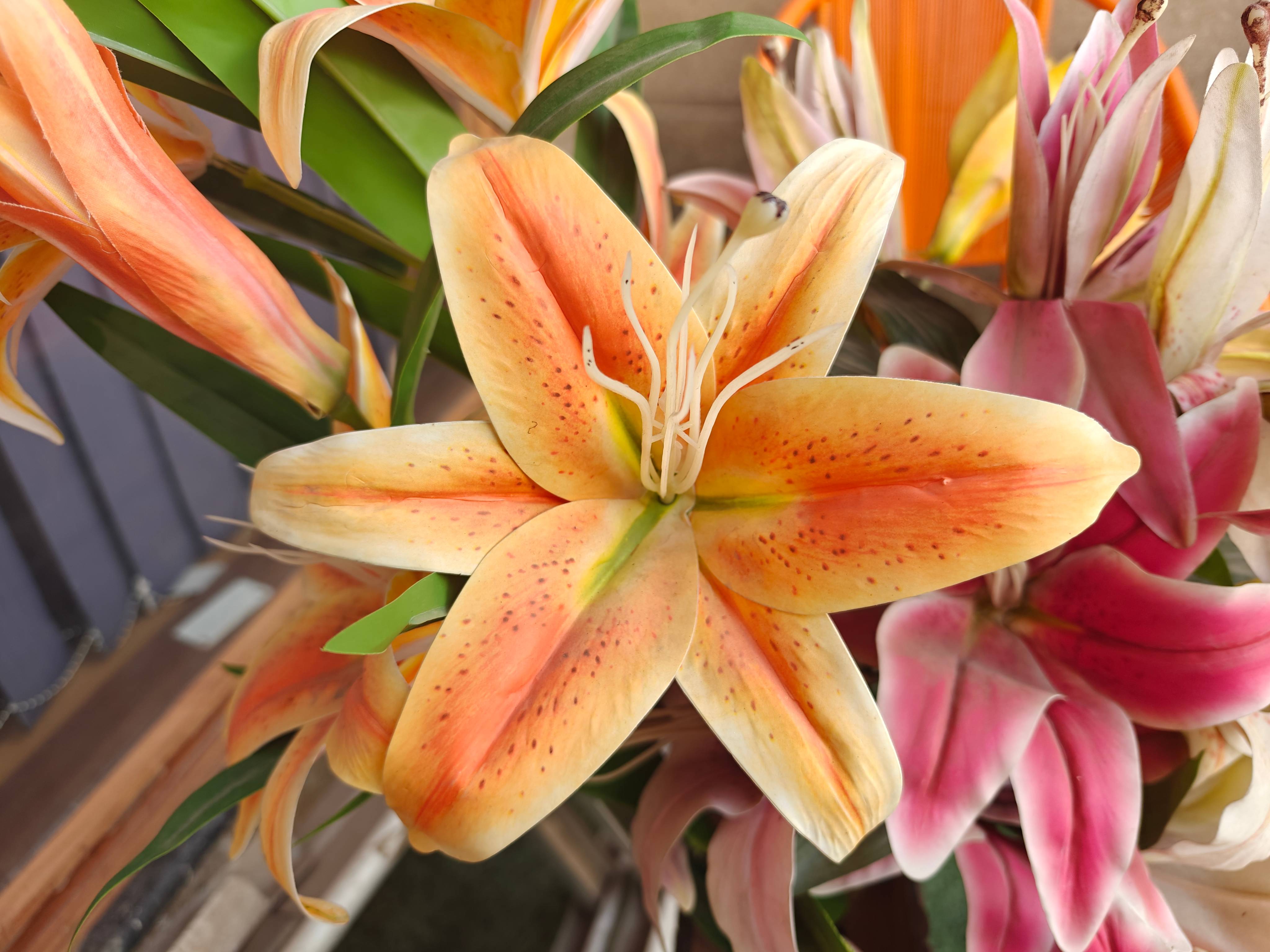 oneplus_12_camera
