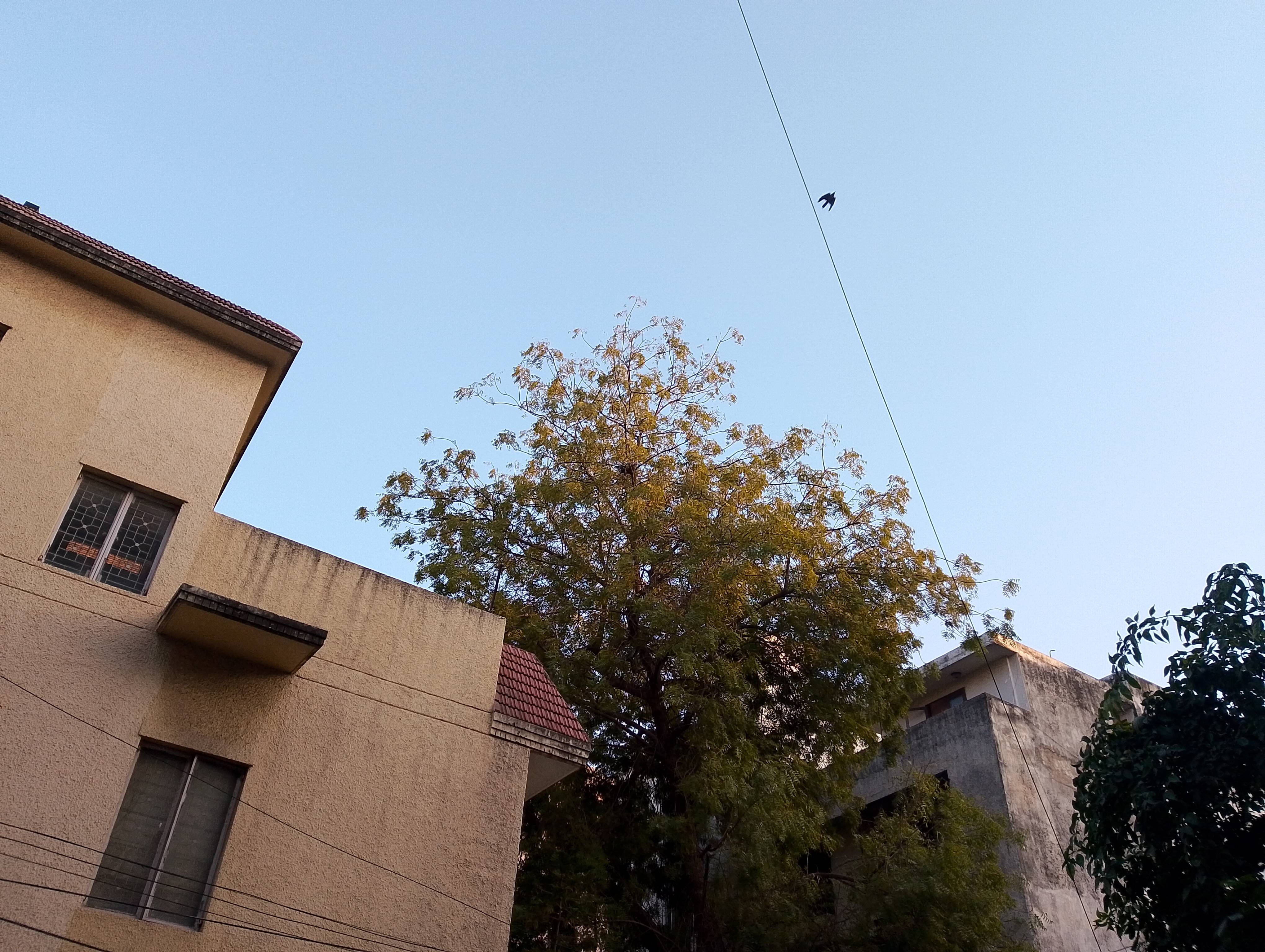 Itel P55+