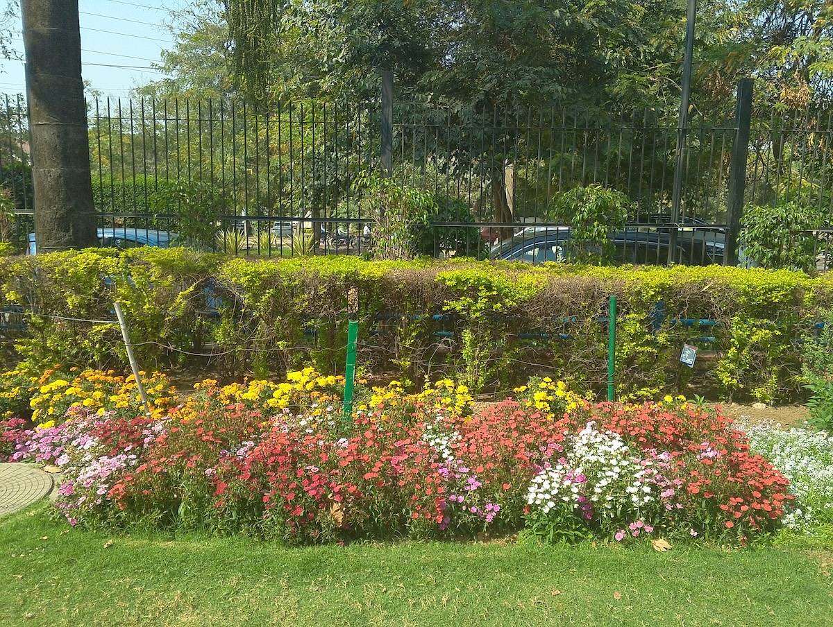 Infinix Hot 40i camera sample