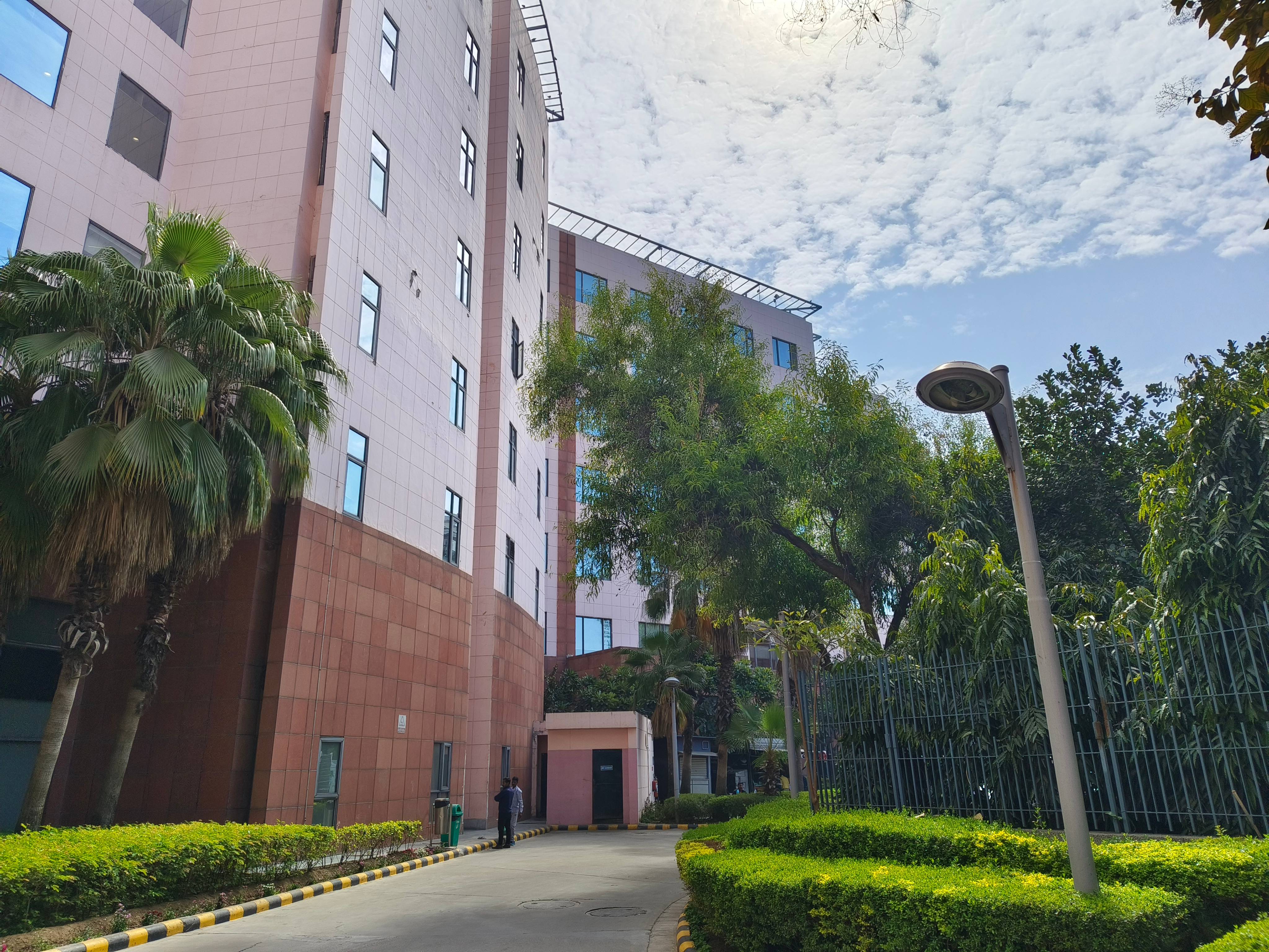 Vivo V30 Pro camera sample