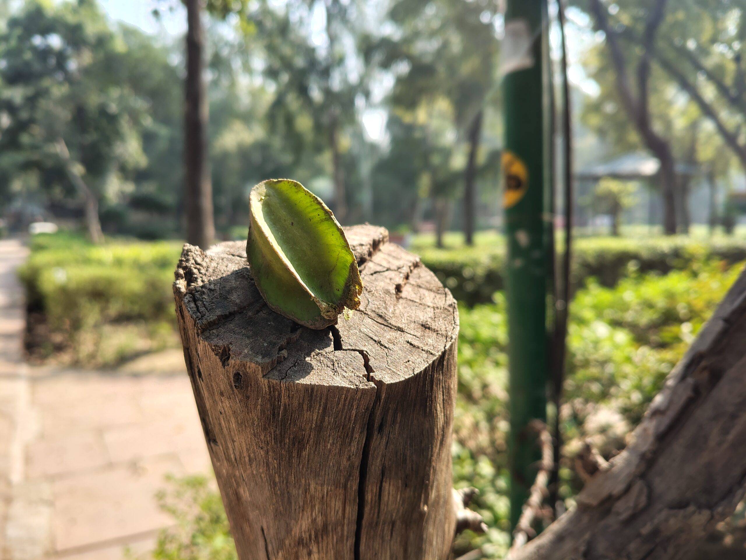 Moto G67 Power main camera