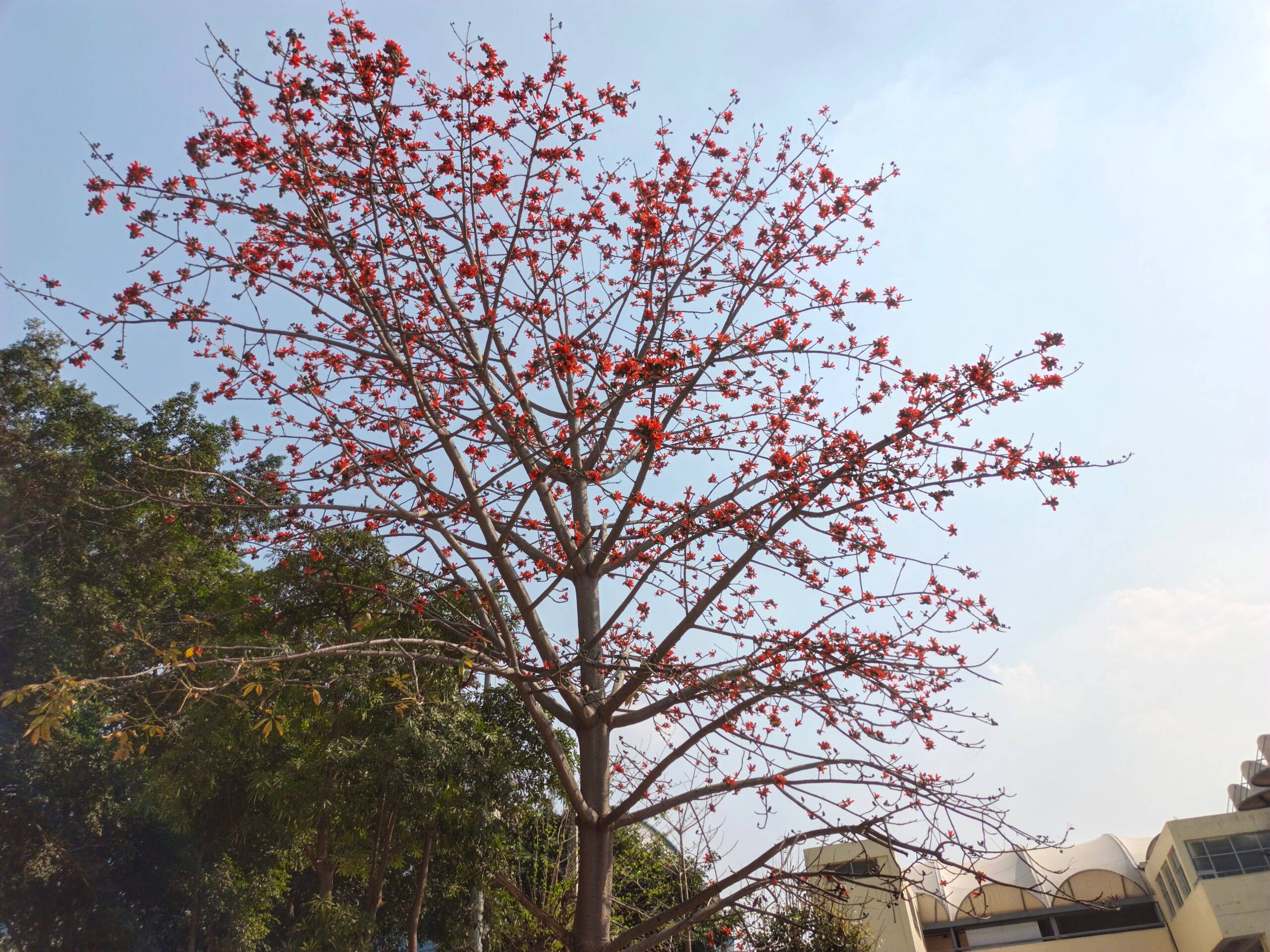 Infinix Note Edge camera sample