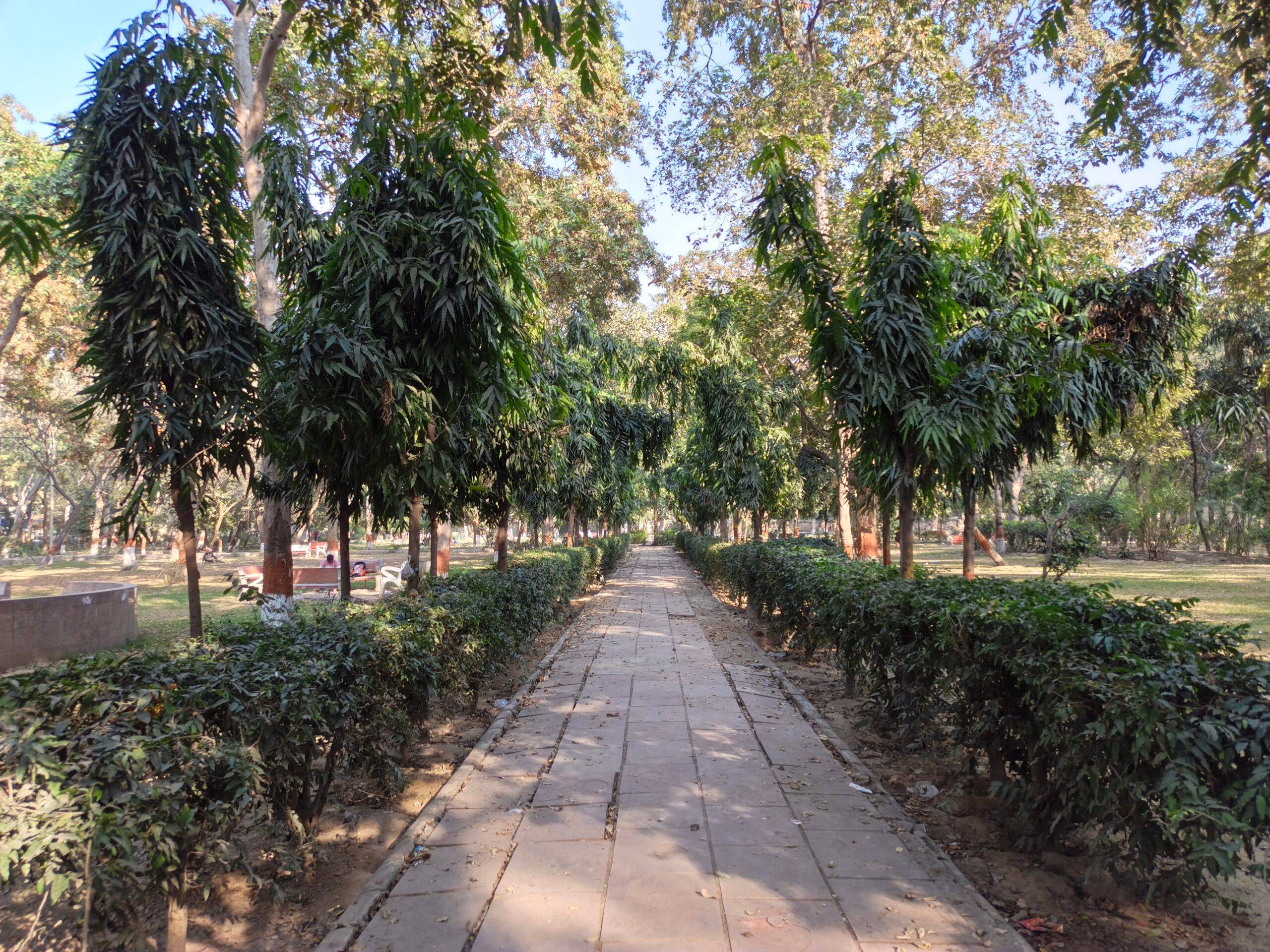 Infinix Note Edge camera sample