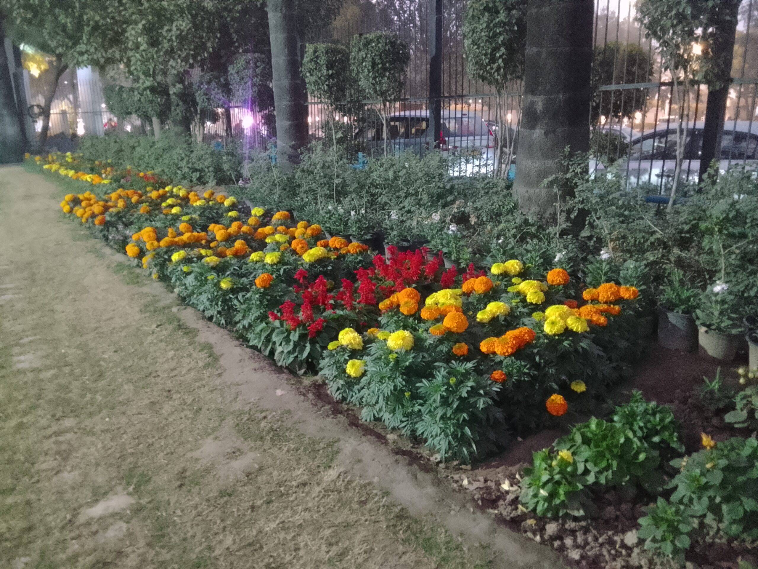 itel A100 night shot