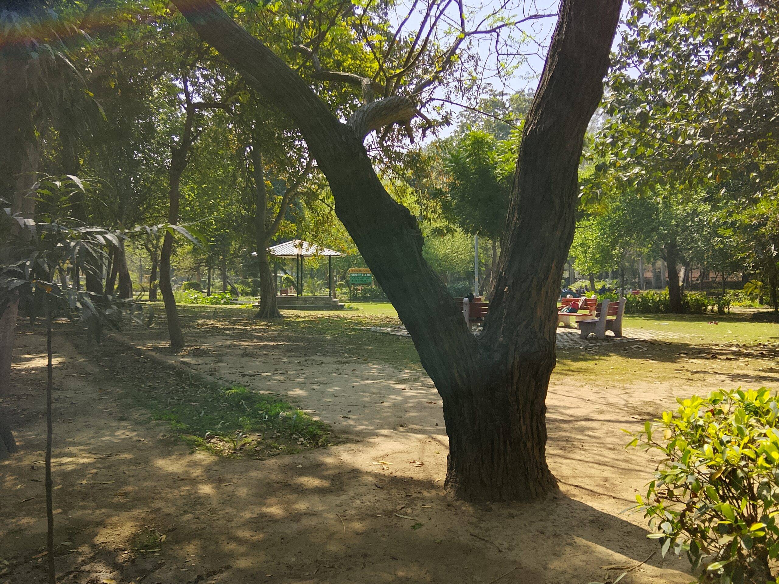 Realme-P4-Lite-4G-daylight