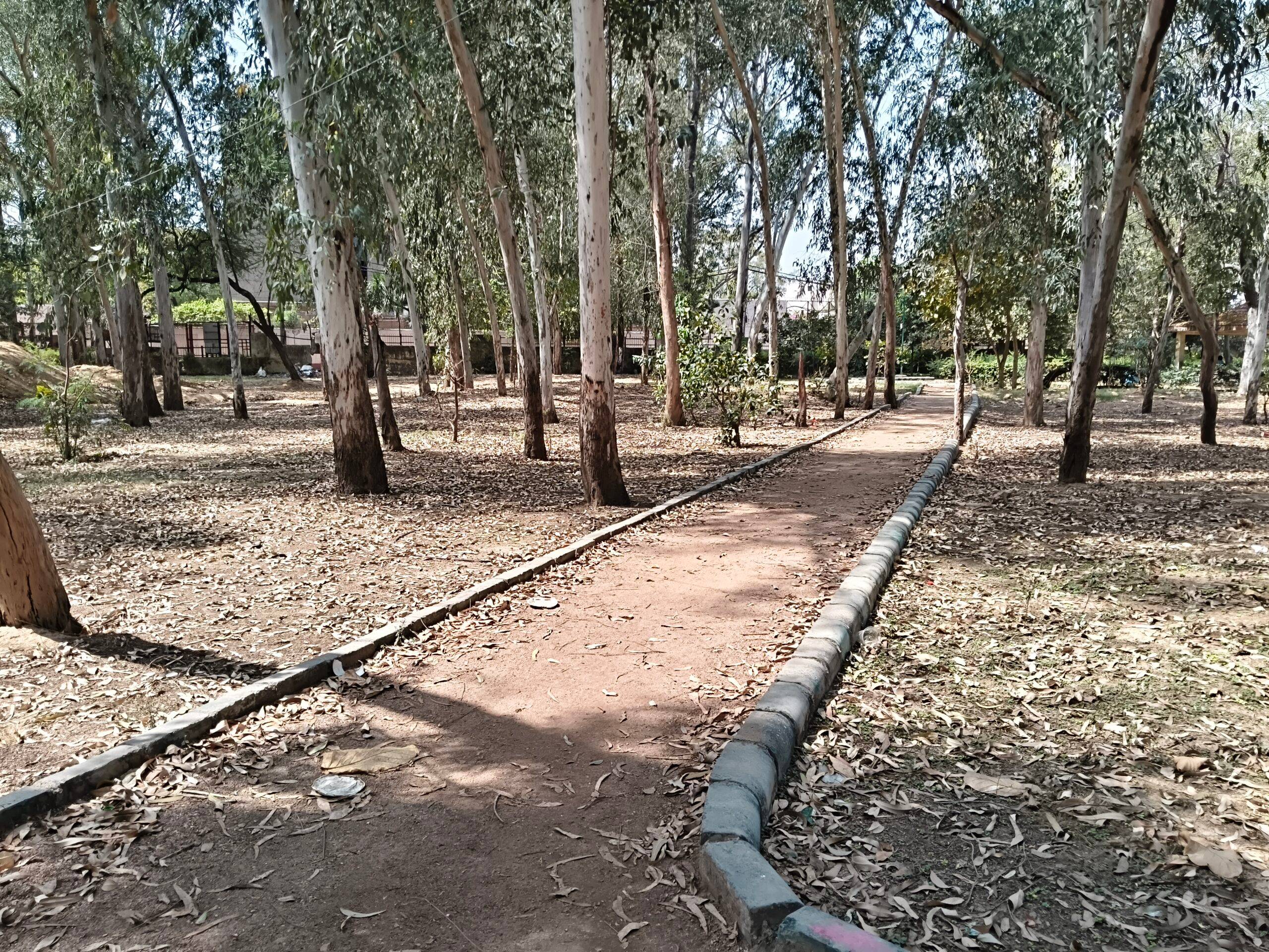 iQOO Z11x day camera sample