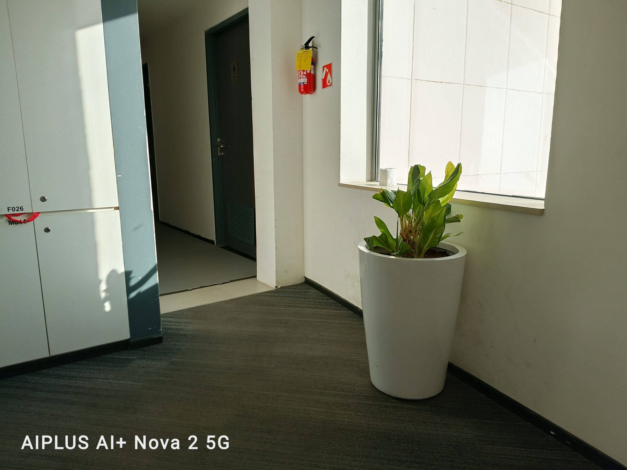 Ai+ Nova 2 daylight camera sample