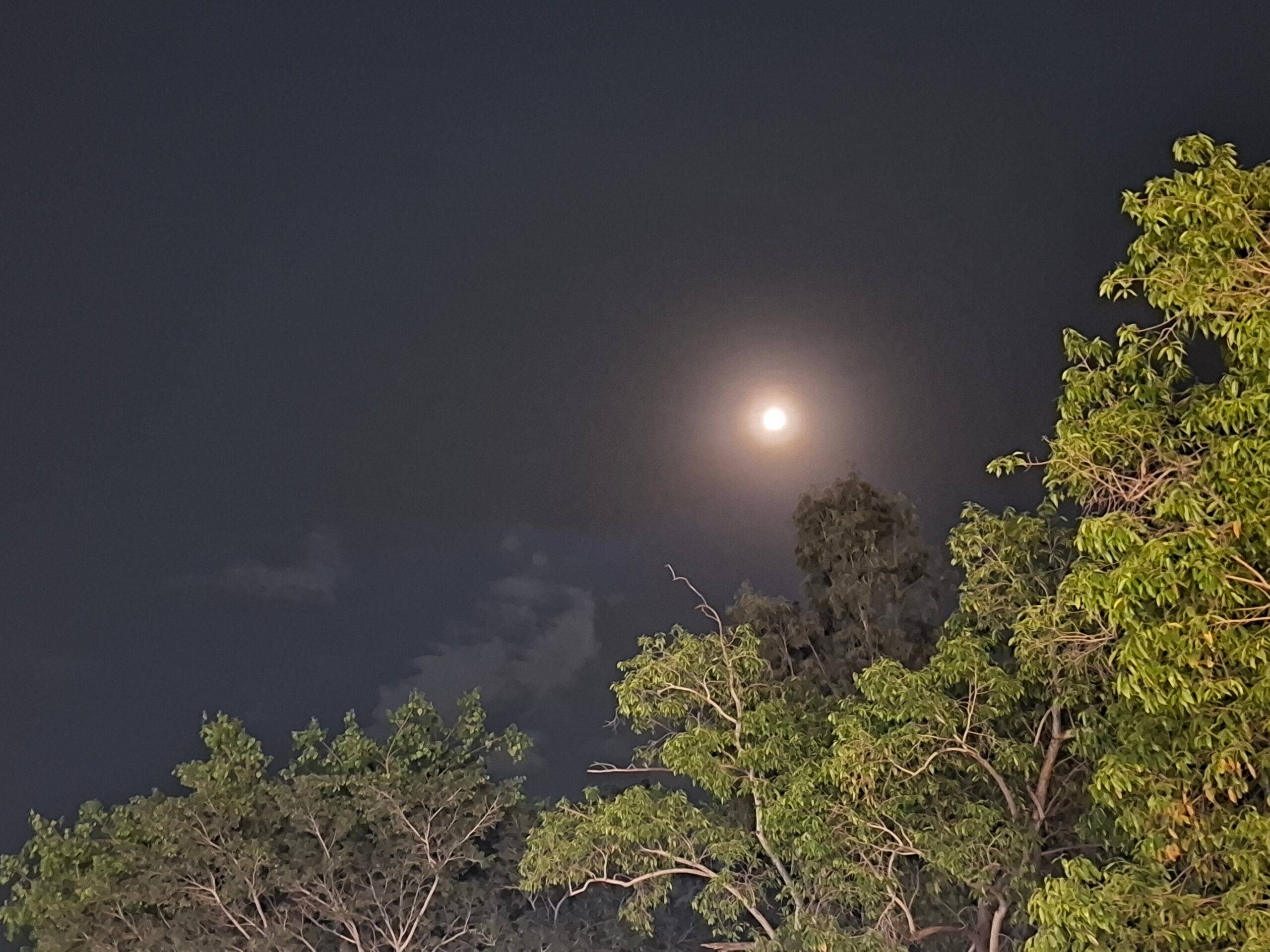 Samsung Galaxy A37 low light