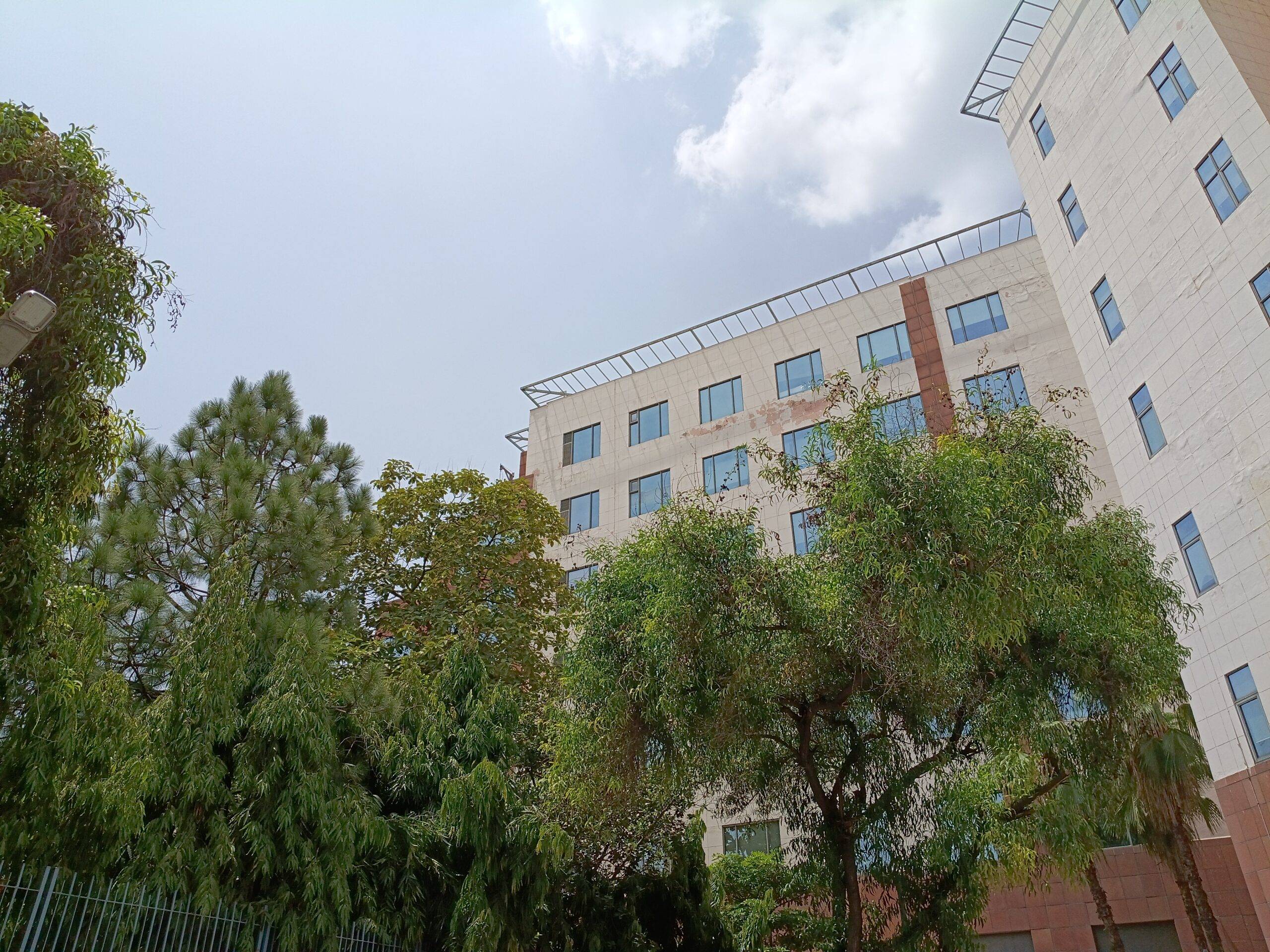 Moto G77 Power daylight