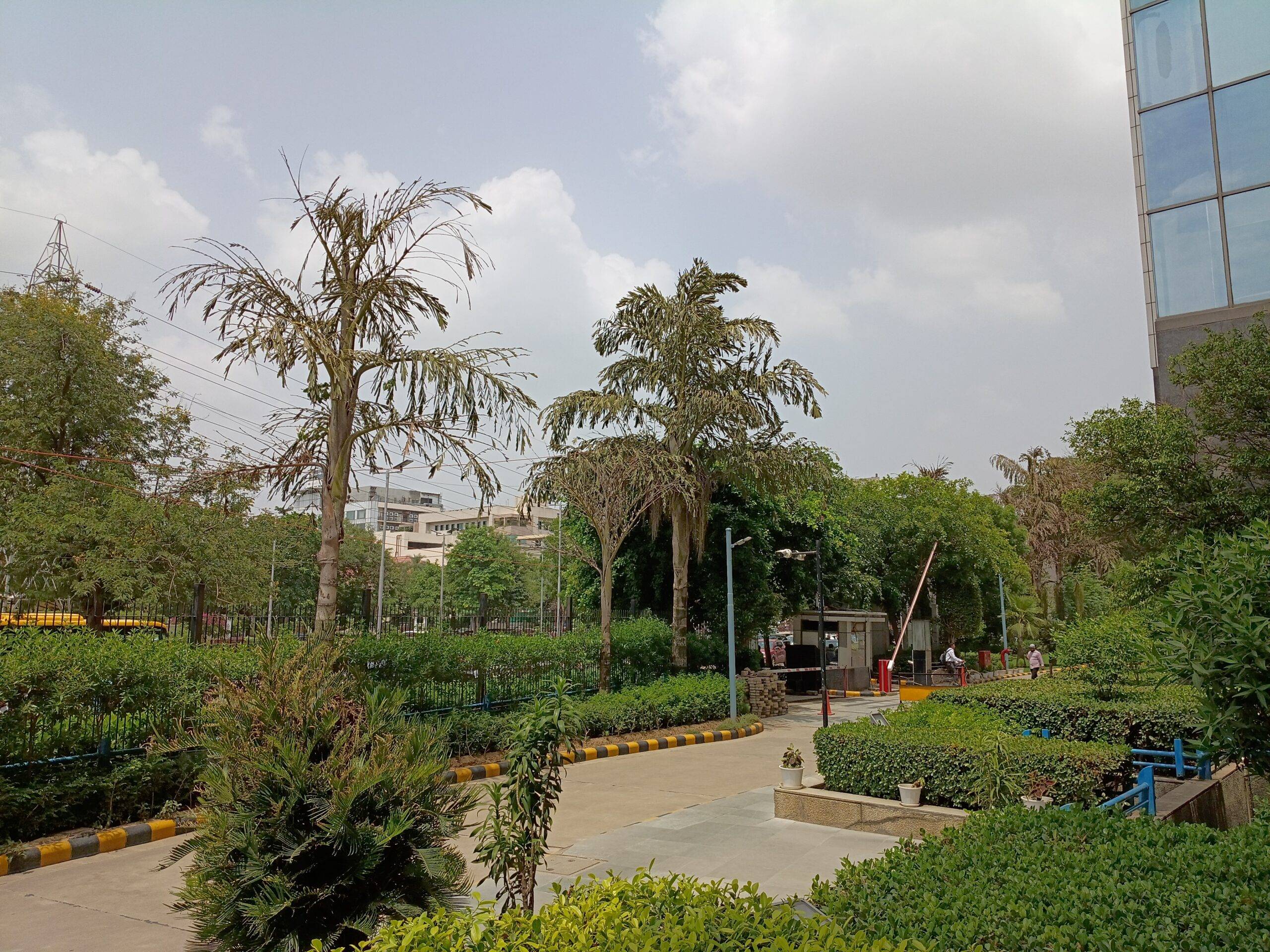 Moto G77 Power daylight