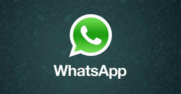 Whatsapp 3