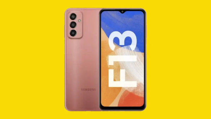 SAMSUNG Galaxy F13 1