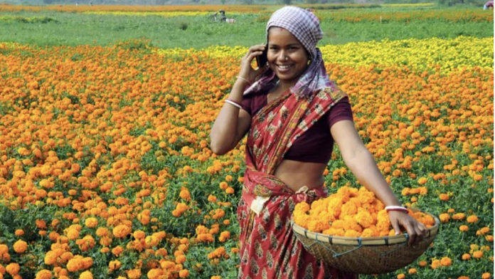 India-Phone-women-user
