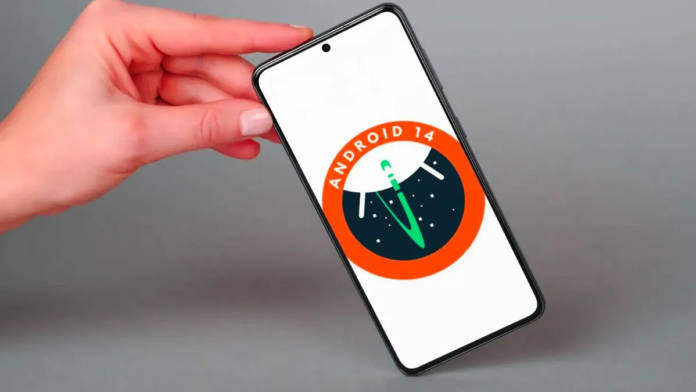 Android 14 Beta 1