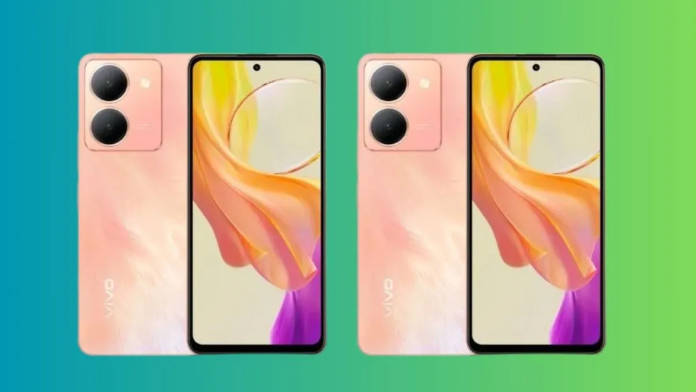 Vivo Y78 (t1) and Vivo Y78m (t1)