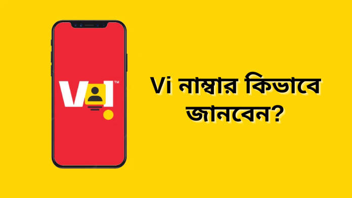 how to check Vi number