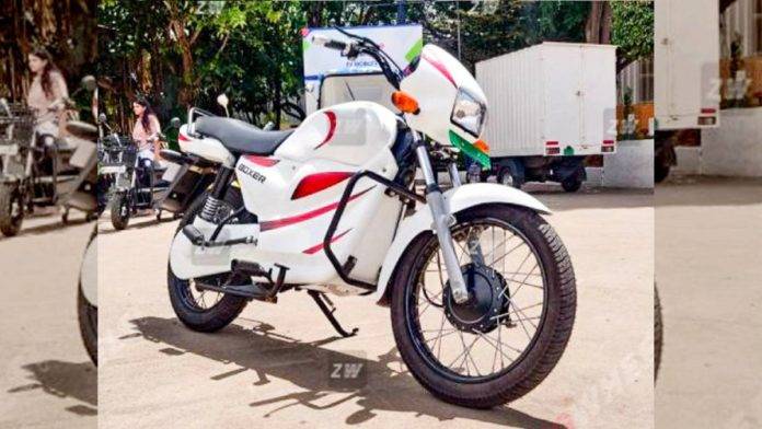 adm-boxer-hero-splendor