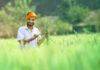 PM Kisan Scheme: लवकरच येतोय 13 वा हप्ता; ऑनलाइन पूर्ण करा KYC, पाहा लाभार्थ्यांची यादी
