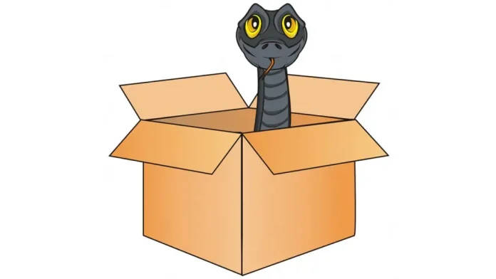 snake-in-amazon-box-1024x576-1
