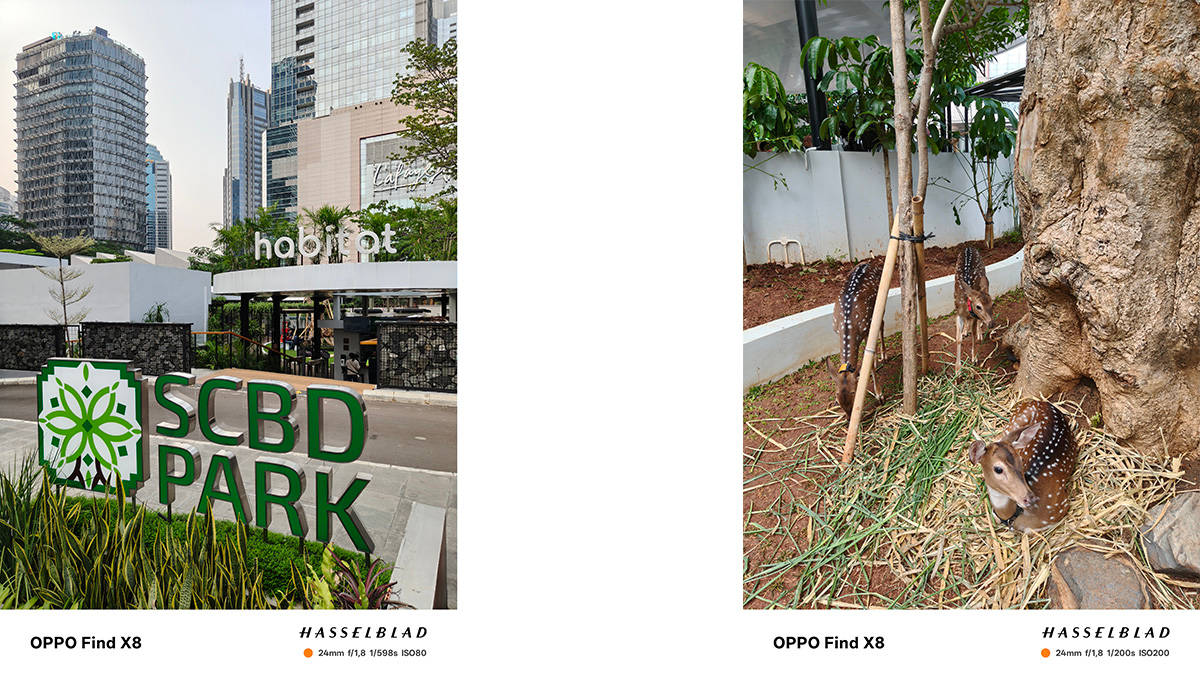 Begini Hasil Foto Kamera Hasselblad Oppo Find X8, Sebagus Apa?