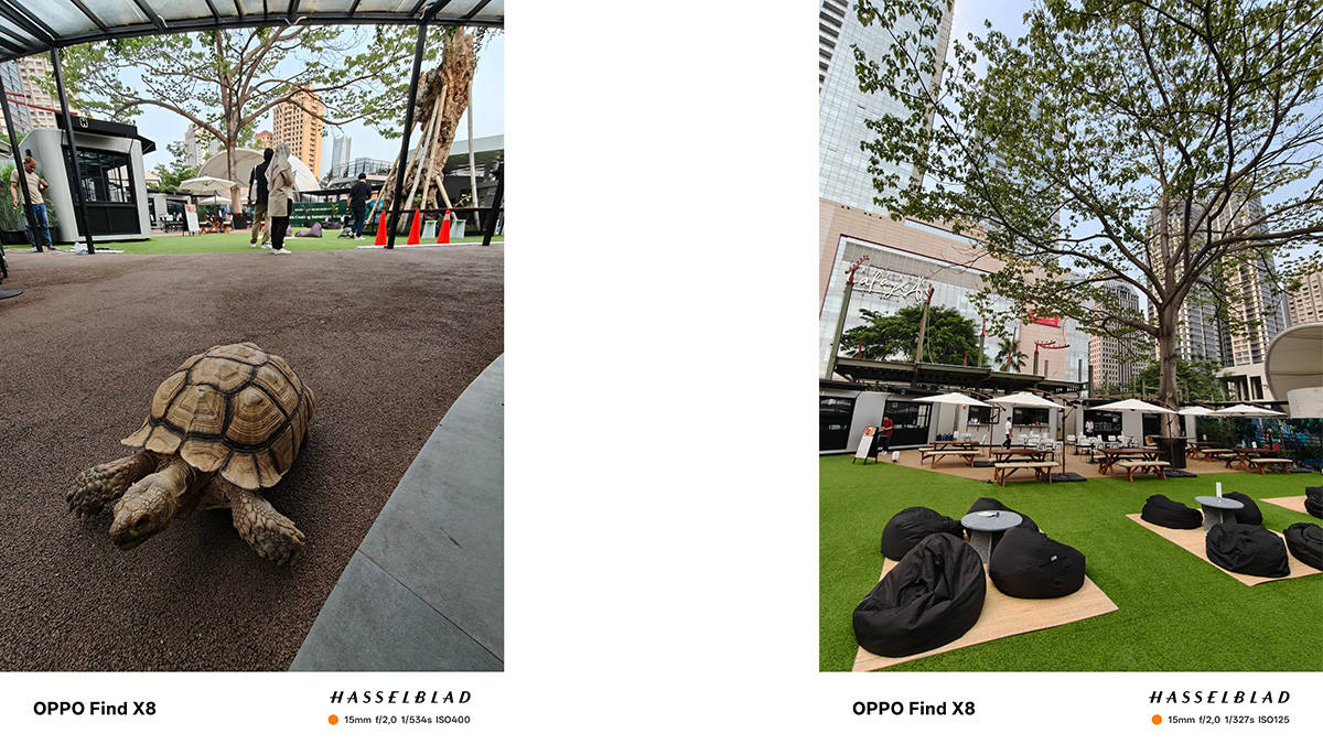 Begini Hasil Foto Kamera Hasselblad Oppo Find X8, Sebagus Apa?