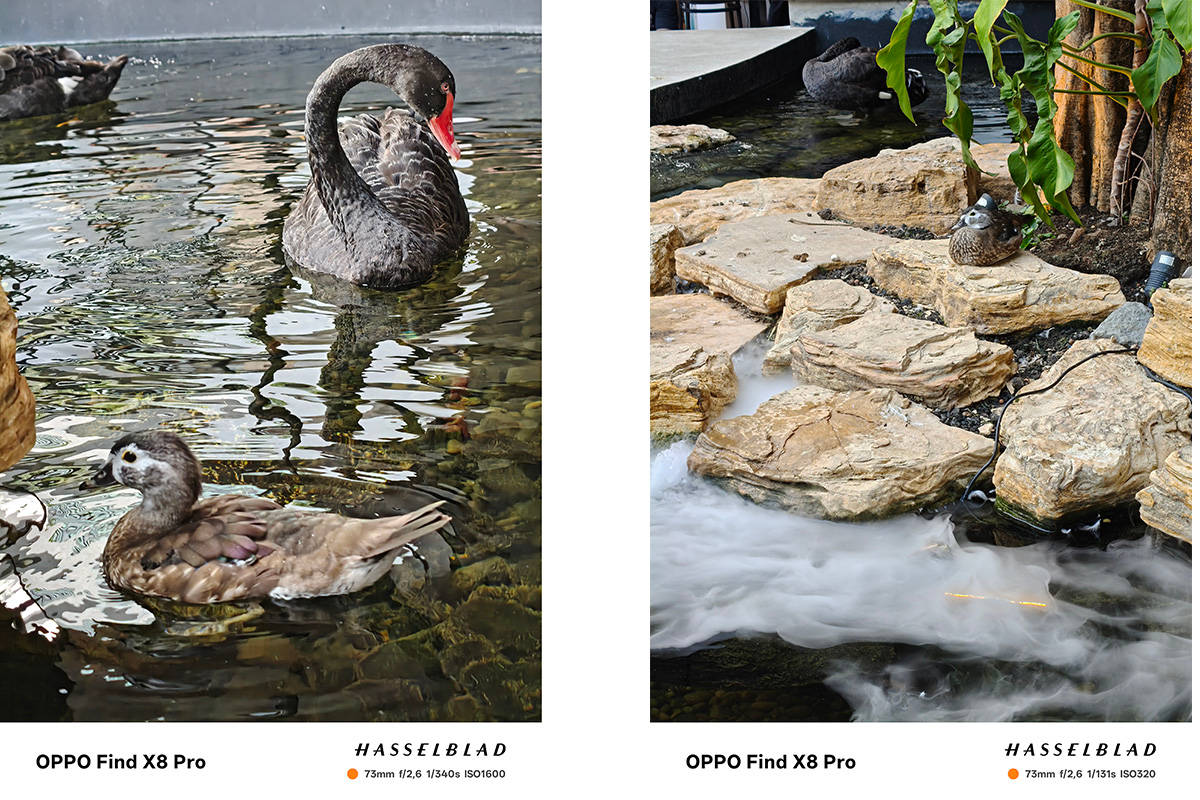 Menjajal Kamera Hasselblad Find X8 Pro, Jagoan Telephoto dari Oppo