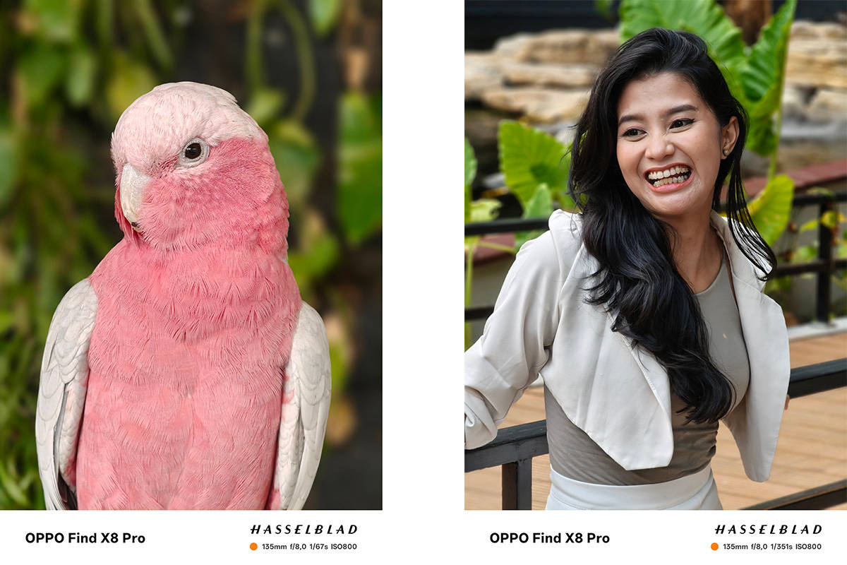 Menjajal Kamera Hasselblad Find X8 Pro, Jagoan Telephoto dari Oppo