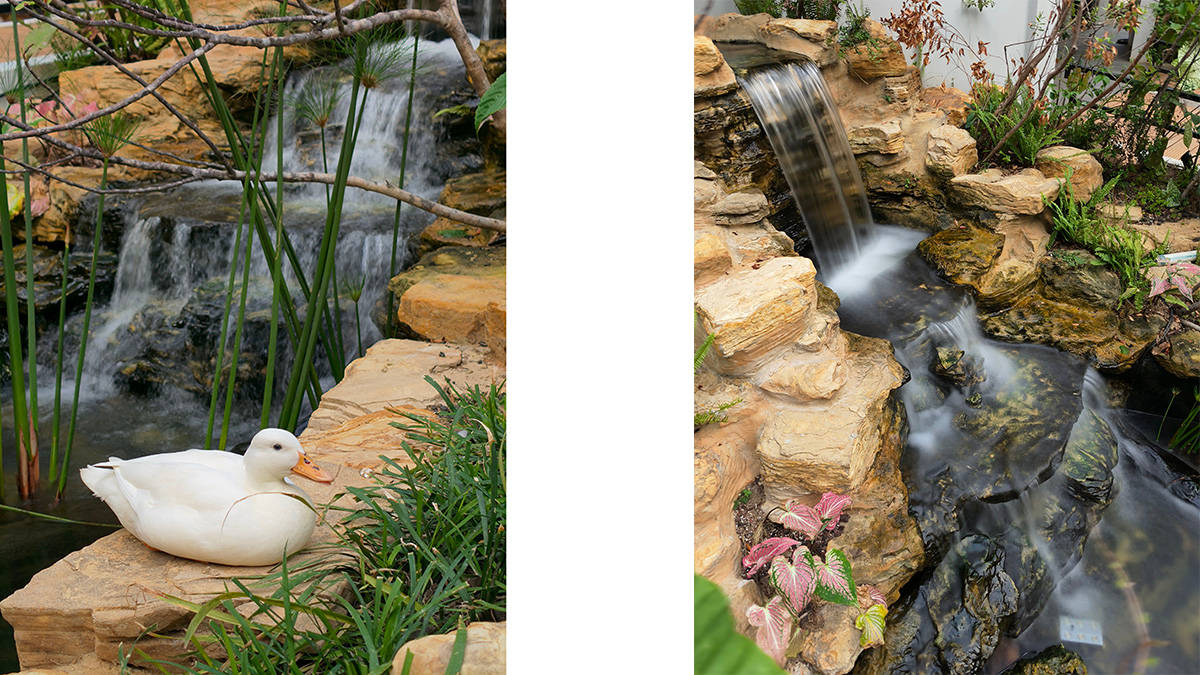 Menjajal Kamera Hasselblad Find X8 Pro, Jagoan Telephoto dari Oppo