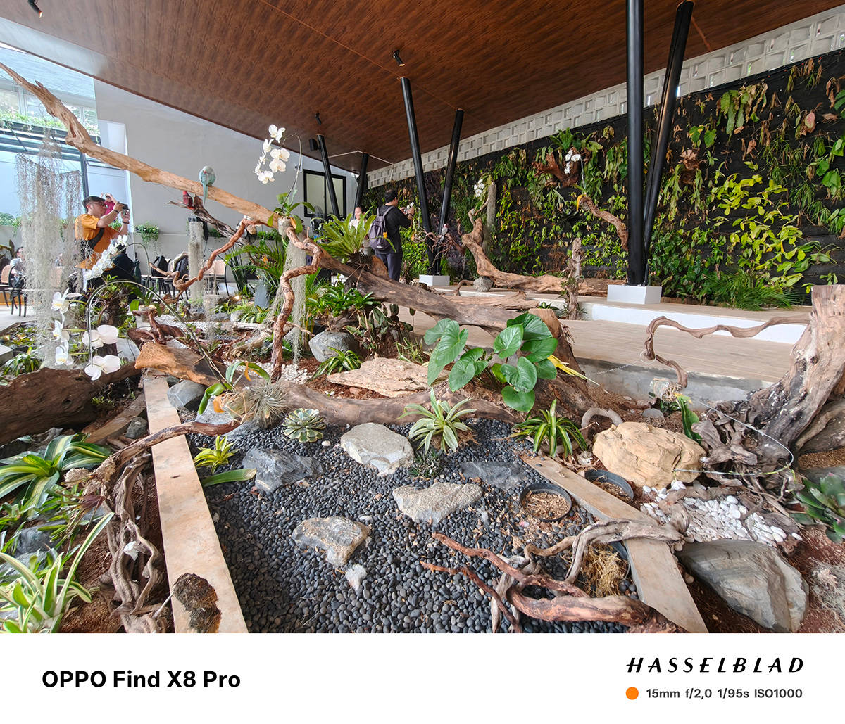 Menjajal Kamera Hasselblad Find X8 Pro, Jagoan Telephoto dari Oppo