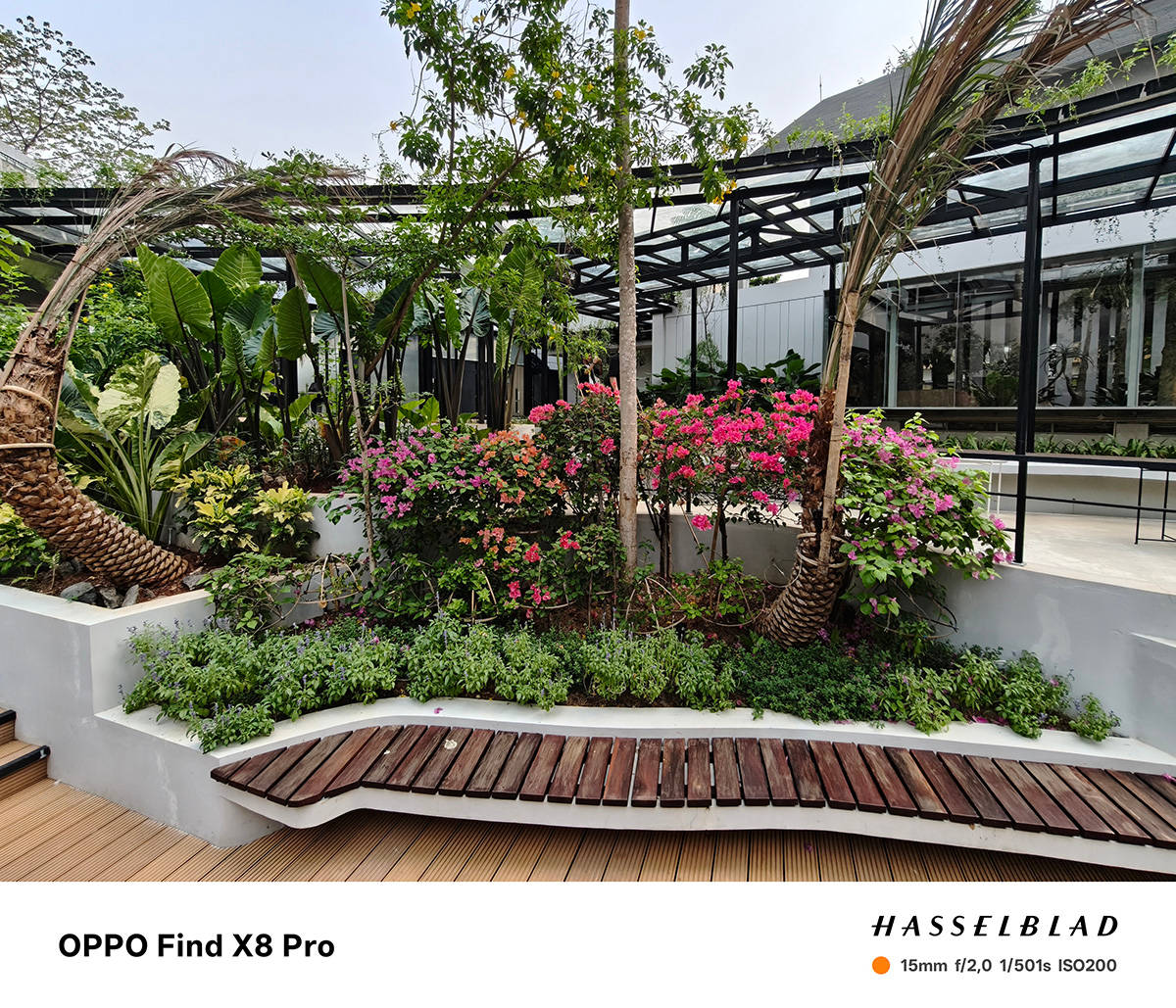 Menjajal Kamera Hasselblad Find X8 Pro, Jagoan Telephoto dari Oppo