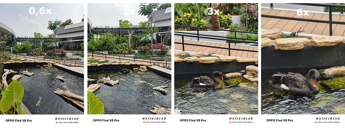 Menjajal Kamera Hasselblad Find X8 Pro, Jagoan Telephoto dari Oppo