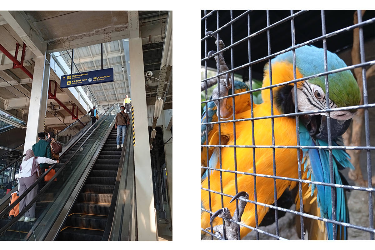 Review Poco C75: HP Rp 1 Jutaan yang Kuat Diajak "Push Rank"