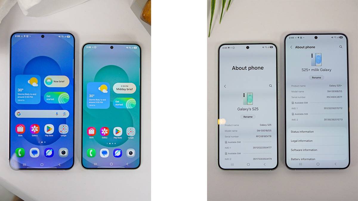 Galaxy S25 dan S25 Plus.