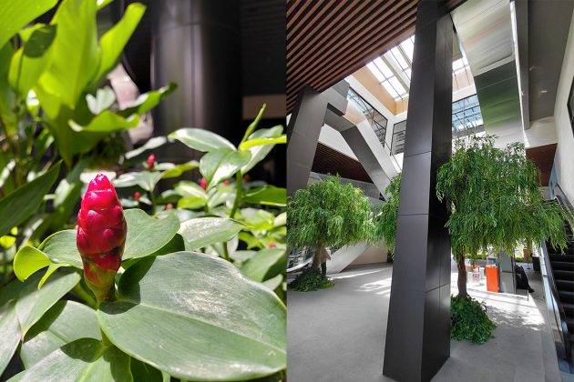 Memotret dengan Samsung Galaxy A36, Ternyata Hasilnya Bagus Juga
