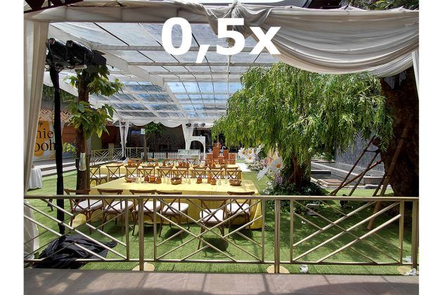 Memotret dengan Samsung Galaxy A36, Ternyata Hasilnya Bagus Juga