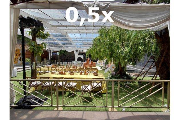 Memotret dengan Samsung Galaxy A36, Ternyata Hasilnya Bagus Juga