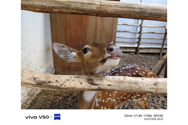 Memotret dengan Vivo V50, Andal untuk Portrait dan Bisa Foto di Dalam Air