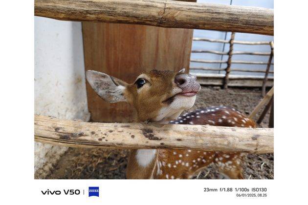 Memotret dengan Vivo V50, Andal untuk Portrait dan Bisa Foto di Dalam Air