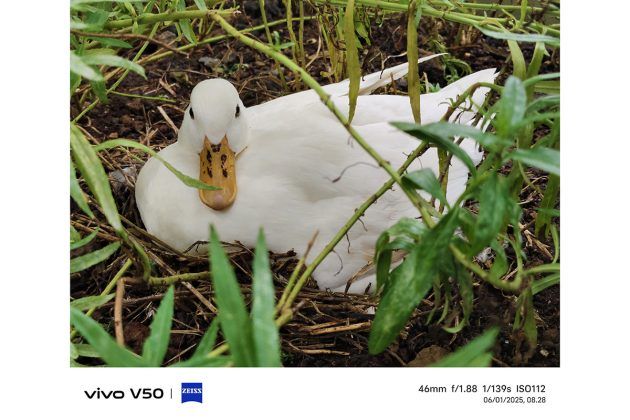 Memotret dengan Vivo V50, Andal untuk Portrait dan Bisa Foto di Dalam Air