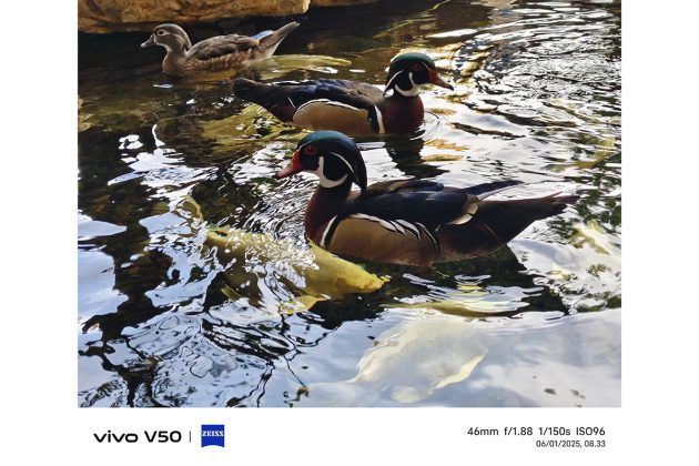 Memotret dengan Vivo V50, Andal untuk Portrait dan Bisa Foto di Dalam Air