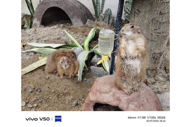 Memotret dengan Vivo V50, Andal untuk Portrait dan Bisa Foto di Dalam Air