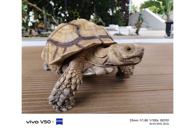 Memotret dengan Vivo V50, Andal untuk Portrait dan Bisa Foto di Dalam Air