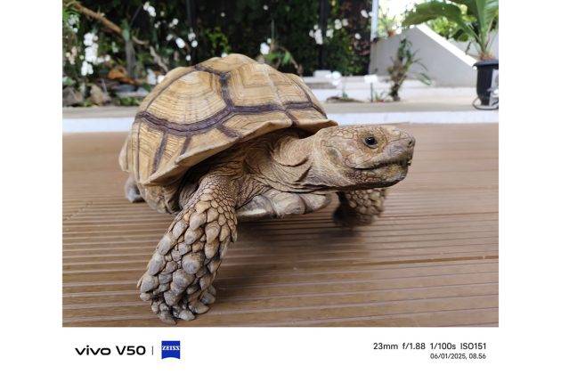 Memotret dengan Vivo V50, Andal untuk Portrait dan Bisa Foto di Dalam Air