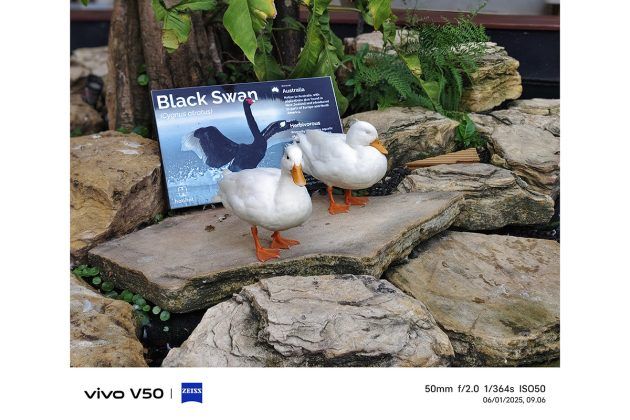 Memotret dengan Vivo V50, Andal untuk Portrait dan Bisa Foto di Dalam Air