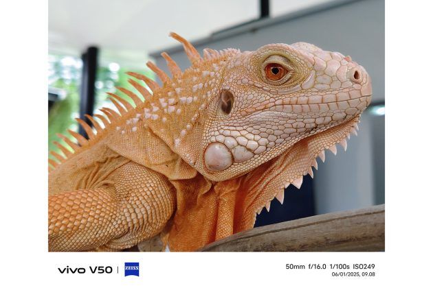 Memotret dengan Vivo V50, Andal untuk Portrait dan Bisa Foto di Dalam Air