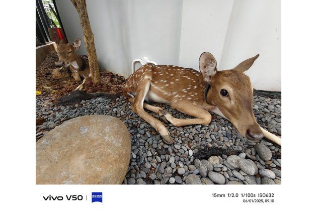 Memotret dengan Vivo V50, Andal untuk Portrait dan Bisa Foto di Dalam Air