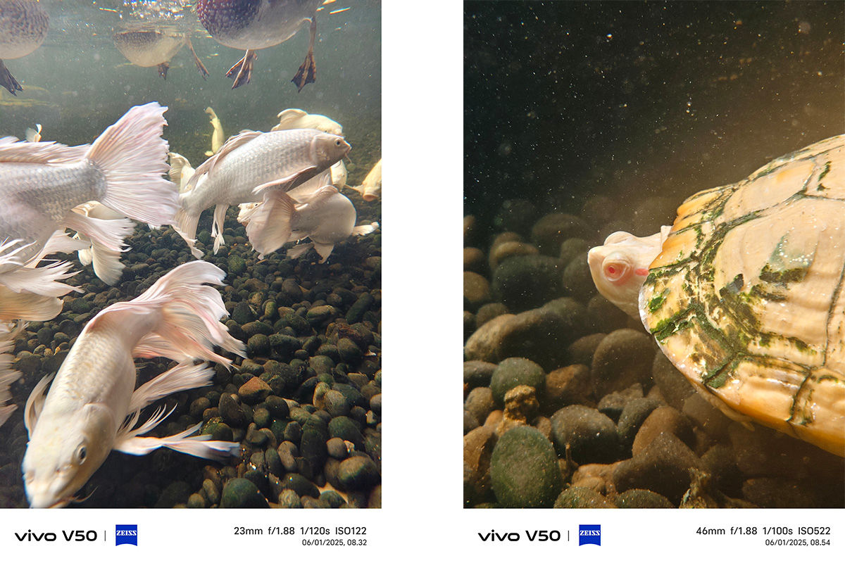 Memotret dengan Vivo V50, Andal untuk Portrait dan Bisa Foto di Dalam Air